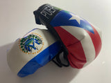 Puerto Rico and El Salvador Mini Boxing 