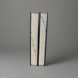 The American Medical Association Home Medical Encyclopedia two-volume hardcover