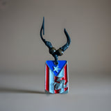 Puerto Rico Flag with a Coqui Necklace