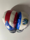 Puerto Rico and El Salvador Mini Boxing 
