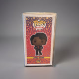 Funko Pop-Rocks James Brown #176 Protective Case