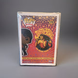 Funko Pop-Rocks James Brown #176 Protective Case