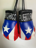 PUERTO RICO HANGING MINI BOXING GLOVES BORICUA FLAG 