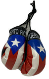 PUERTO RICO HANGING MINI BOXING GLOVES BORICUA FLAG 
