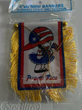 Boricua Girl Puerto Rico Rican Mini Banner Car Window auto Flag 