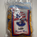 Puerto Rico Mini Boxing Gloves and Boricua Girl Mini Flag 