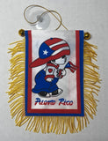 Boricua Boy Puerto Rico Rican Mini Banner Car Window auto Flag 