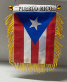 Boricua Boy Puerto Rico Rican Mini Banner Car Window auto Flag 