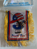 Boricua Girl Puerto Rico Rican Mini Banner Car Window auto Flag 