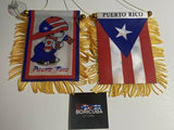 Boricua Boy Puerto Rico Rican Mini Banner Car Window auto Flag 