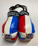 Dominican Republic Hanging Mini Boxing Gloves Pair 