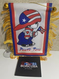 Boricua Boy Puerto Rico Rican Mini Banner Car Window auto Flag 