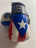 Puerto Rico and El Salvador Mini Boxing 