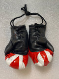 Puerto Rico Boxing Gloves