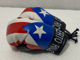 Puerto Rico Boxing Gloves