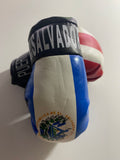 Puerto Rico and El Salvador Mini Boxing