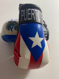 Puerto Rico and El Salvador Mini Boxing