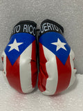 Puerto Rico Boxing Gloves