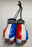 Dominican Republic Hanging Mini Boxing Gloves Pair