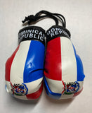 Dominican Republic  Mini Flag and Mini Hanging Boxing Gloves  Lot